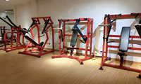 Équipement de musculation professionnel ZY à charge libre, machines d'entraînement de force, équipement de fitness, fabricant et fournisseur OEM ODM