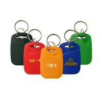 IC+ID 13,56MHz M-1K RFID-Tags Schlüsselanhänger Dual-Chip Frequenz 125KHZ TK4100 Schlüsselanhänger-Tag
