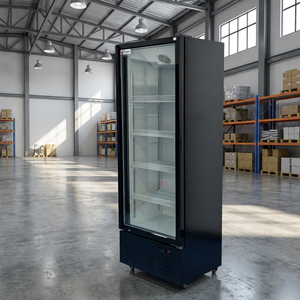 Refrigerador Vertical para Bebidas con Puerta de Vidrio y Logotipo Personalizable, Ahorro de Energía, para Uso en Bares - Product Image 1