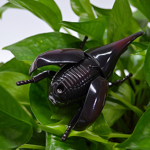 Hot bán giáo dục cảm giác Mini kéo trở lại Bọ Cánh Cứng côn trùng mô hình nhựa ABS tuyệt vời cho trẻ em lứa tuổi 5-14 unisex chaobang - Product Image 1