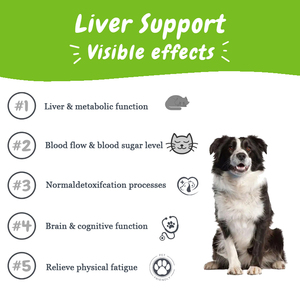 Private Label Beef Flavor Pet <b>Liver</b> Health <b>Supplement</b> Multifunctional Natural Detox <b>Liver</b> Support Chews for Dogs - Product Image 2