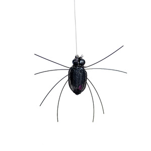 Testina di Ricambio per Giocattolo Teaser per Gatti, Insetto Realistico, Giocattolo Auto-intrattenente per Gatti, Accessori per Animali Domestici, Carino - Product Image 2