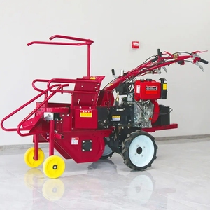 Offre Spéciale d'ensilage de maïs - Product Image 2
