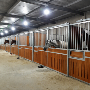Box per Cavalli Personalizzabile Resistente alle Intemperie, Struttura in Acciaio Verniciato <span class=keywords><strong>a</strong></span> Polvere da 4m, Pannello Prefabbricato per Stalla Equestre, Stalla in Legno per Cavalli - Product Image 3