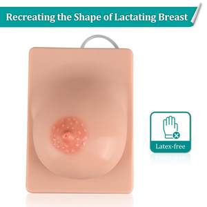 Modelo De Mama De Lactação Com Função De Expressão De Leite Modelo Educacional De Pano De Mama Modelo De Ensino Simulação Molde De Mama - Product Image 5