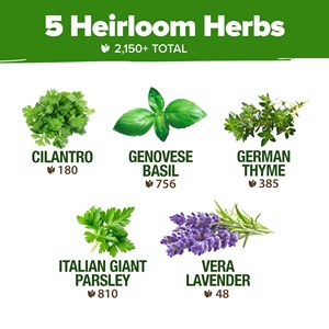 Pack de 2150+ variétés d'herbes non-OGM, variétés anciennes, jardin culinaire, basilic, <span class=keywords><strong>thym</strong></span>, pour l'intérieur/l'extérieur, marqueurs bonus, guide de culture - Product Image 4