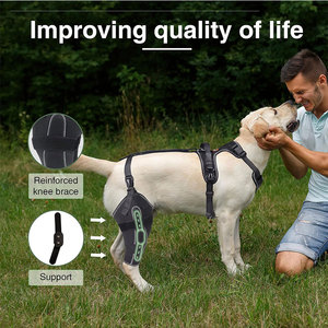 Ginocchiera per cani OEM per <span class=keywords><strong>la</strong></span> gamba posteriore per supporto Luxating <span class=keywords><strong>rotula</strong></span> legamento crociato cane Acl ginocchiera calda articolazione e sollievo dolore - Product Image 3