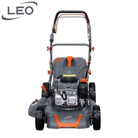 LEO LM48Z-2Ld(NP170E) Vente en gros d'outils de jardinage Machine à couper le gazon Démarrage ou traction électrique Tondeuses à gazon