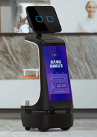 Robot Robin con Inteligencia Artificial ChatGPT, Robot Comercial de Recepción con Sistema Operativo Android, Pantalla Publicitaria de 13.3 Pulgadas, Modelo de Servicio LDS Slam+VSLAM