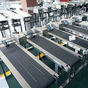 Mesin Pengumpan Plastik Otomatis dengan Sabuk Penggerak Gesekan dan Pengatur Kecepatan untuk Kantong Plastik - Product Image 6