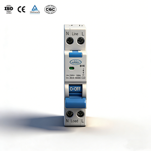 Disjoncteur miniature AC 1-4P 1-63Amp RCBO Matériel PA66 Montage sur rail Certifié CE - Product Image 1