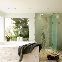 DAIYA douche moustiquaire porte salle de bain hôtel cloison verre cannelé acrylique acier inoxydable carré droit 1 ensemble charnière sans cadre