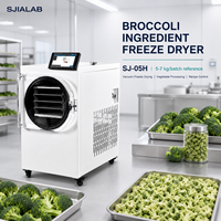 Machine de lyophilisation sous vide pour ingrédients végétaux (brocoli) SJ-05H, capacité de 5-7 kg par lot