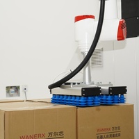 Palettiseur robotisé de haut niveau 30 kg avec pince à ventouse pour l'empilage de cartons de 300 à 2400 mm et le chargement en ligne