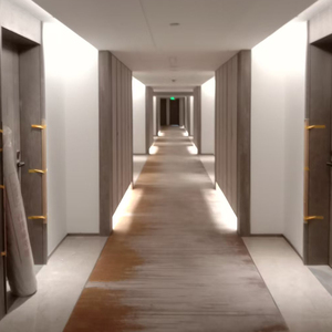 Tùy Chỉnh Cao Cấp Chống Cháy 100% Nylon Tường-to-Tường In Thảm Thích Hợp Cho Sử Dụng Khách Sạn Hành Lang Sảnh Văn Phòng Nhà - Product Image 2