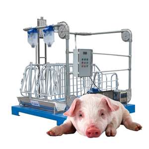 Système de cages Hengyin pour l'élevage : Cages de maternité pour truies - Product Image 5