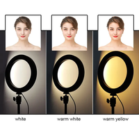 Populaire LED multi-lumière effet Tiktok anneau lumineux pliable maquillage selfie anneau lumineux pour la diffusion en direct rond trépied portable