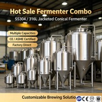 Reactor de Enzimas con Revestimiento SS316L, Tanque Sanitario de 100L, Estándar ASME, Precio de Fábrica