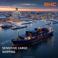 Agent maritime BHC pour le transport de fret FCL LCL de la Chine vers les États-Unis (Virginia, Charleston) – Transport spécial, marchandises sensibles, dédouanement