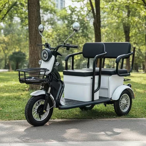 รถสามล้อไฟฟ้าแบบเปิด 3 ที่นั่ง ยี่ห้อ Holladay กำลังไฟ 500 วัตต์ ระยะทางวิ่ง 40 กม. สำหรับผู้สูงอายุ พร้อมเบรกแบบดรัมและโช้คไฮดรอลิก - Product Image 1