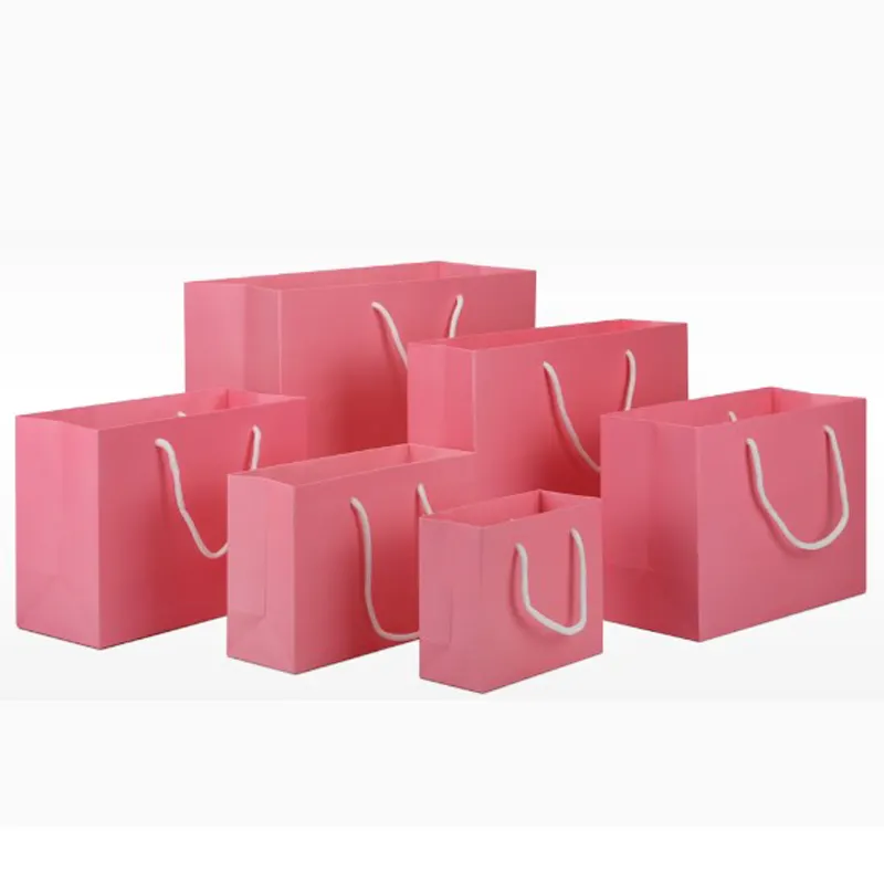 卸売カスタム印刷リサイクル高級ピンク化粧品ショッピング衣類包装トートギフトアートコーティングされた紙袋シルクHa