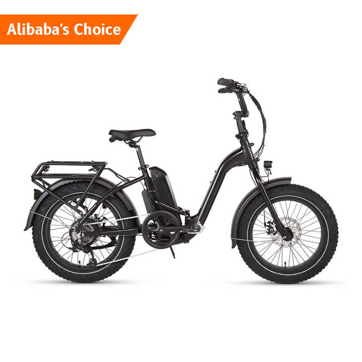Usa 250 Watt 36v Folding Small Electric Bike Kids Full Suspension