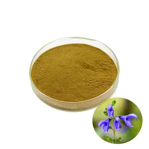 Natural 15% Carnosic Acid Clary Sage Extract