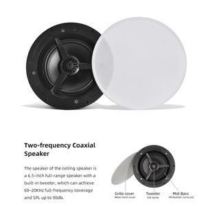 Haut-parleur de plafond intelligent WiFi Bluetooth 60W, actif, <span class=keywords><strong>Hi</strong></span>-<span class=keywords><strong>Fi</strong></span>, compatible AirPlay, DLNA, <span class=keywords><strong>Spotify</strong></span>, Tidal - Product Image 1