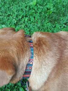 Aksesori hewan peliharaan lembut Bavarian pribadi tahan lama bergaya kerah <span class=keywords><strong>Aztec</strong></span> kulit tebal kerah anjing Collier Tuang Chien - Product Image 6