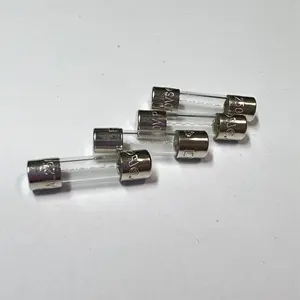 0617002.MXP 퓨즈 글라스 2A 250VAC 5X20MM LBC 2AMP