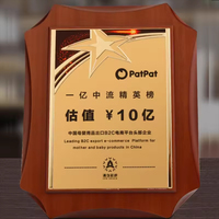 Logo personnalisé Plaque en bois personnalisée Certificat Awards Premium Trophées Médailles et Plaques avec plaque d'or 270*220mm