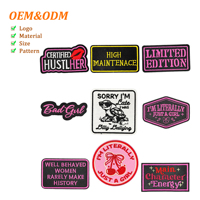 Patchs brodés 3D drôles pour femmes, certifiés CE, formes variées, badges thermocollants à texte western, style campagnard, ornement de chapeau DIY