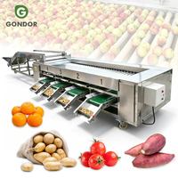 Sorteermachine voor guave, mango, kardemom, citroen en kiwi; inclusief was- en waxmachine voor fruit; productielijn.