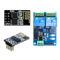 Dual-Way 5V Esp8266 Smart Home WiFi Relé Android App Interruptor de control remoto Internet de las cosas Acceso remoto móvil
