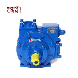 Bomba de aceite de paletas de alta resistencia BO HAI YB50-12 para diésel/gasolina/GLP, OEM personalizable, 5,3 kW, 1 año de garantía - Product Image 2
