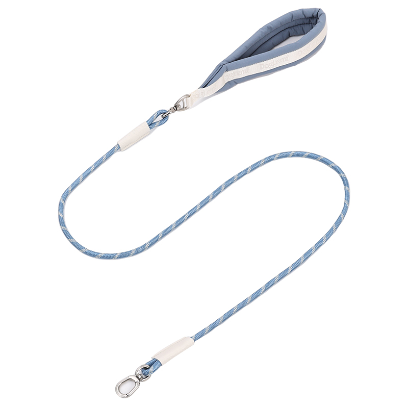 Blue leash