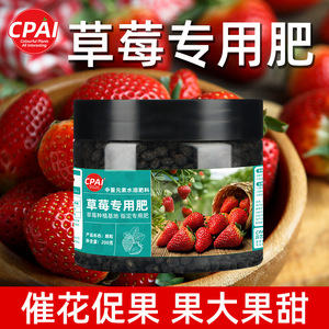Engrais spécial à la fraise Cpai, 200g, nourriture granulaire pour plantes, pour la floraison, la fructification et le développement des racines - Product Image 4