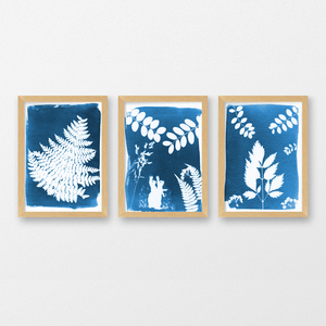 Direct Factory Sale DIY <strong>Cyanotype</strong> Kit Creative Art <strong>Set</strong> for Kids Decorative Stickers Gift - Product Image 3