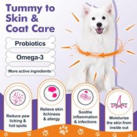 Poudre Probiotique Sûre ODM/OEM pour Chiens et Chats - Supplément de Vitamine D à Base de Calcium pour Digestion Sensible, Races Grandes, Tous Âges