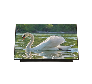 Écran LCD TFT IPS BOE 15,6 pouces Full HD 1920*1080 avec carte de pilote NV156FHM-N42 Interface EDP Modules LCD - Product Image 2
