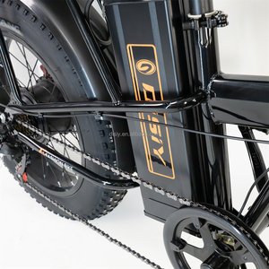 Bicicleta Eléctrica Plegable DISIYUAN F1 500W 48V Litio Rueda Ancha de 20x4 Pulgadas Ebike con Asiento Trasero Bicicleta Eléctrica de Montaña - Product Image 6