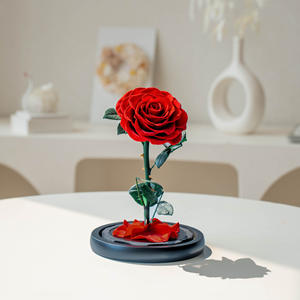 Roses éternelles, fleurs pour la Saint-Valentin, fête des mères, fleurs éternelles conservées, roses éternelles dans un dôme en verre, LED, meilleure qualité - Product Image 1