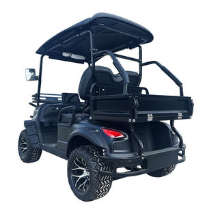 Small <b>Mini</b> Electric Golf Cart with 3500W Motor 30-50km/h Speed 50-70km Range Customized Color - Product Image 4
