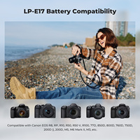 K&F Concept Lot de 2 batteries pour appareil photo Canon LP-E17 avec port de charge Type-C et indicateur de niveau de batterie 1050mAh