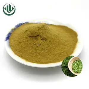 Factory Direct Supply Instant Green Tea Powder Where to buy Green Tea Powder