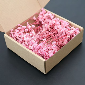 Fleurs de Gypsophile Séchées et Préservées en Boîte, 50 Pièces, Gypsophile Naturelle, Boîte Cadeau, Longue Durée (3-5 Ans) - Product Image 3