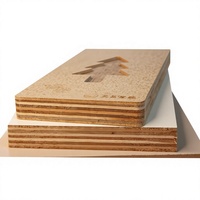 Panneaux de contreplaqué de bouleau marine multicouches sur mesure en bois massif, personnalisables, importés du Zhejiang, pour tables, armoires et étagères