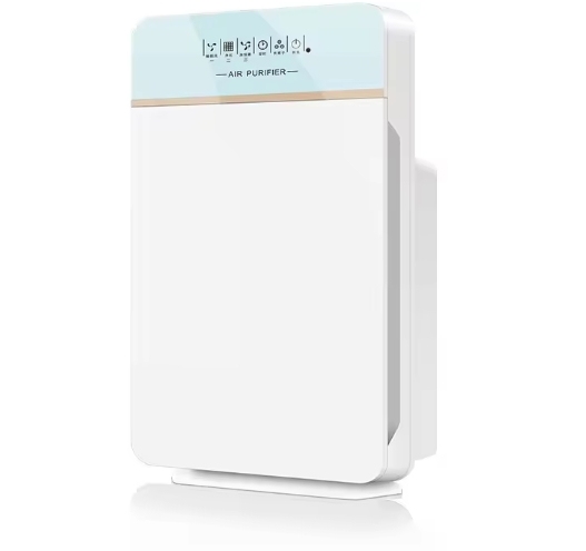 How to Choose the Best Large Air Purifier: A Complete Buying Guide
