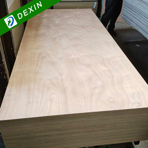 1220x2440mm 5mm 9mm 18mm <span class=keywords><strong>compensato</strong></span> commerciale <span class=keywords><strong>di</strong></span> legno <span class=keywords><strong>di</strong></span> <span class=keywords><strong>pioppo</strong></span> Okoume / Bintangor <span class=keywords><strong>compensato</strong></span> impiallacciato dal produttore della Cina - Product Image 4