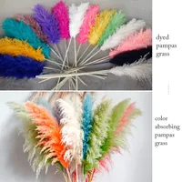 Buket Bunga Rumput Pampas Kering Besar dari Pabrik - Bulu Halus, Warna/Ukuran Dapat Disesuaikan untuk Pernikahan, Hari Ibu, Natal